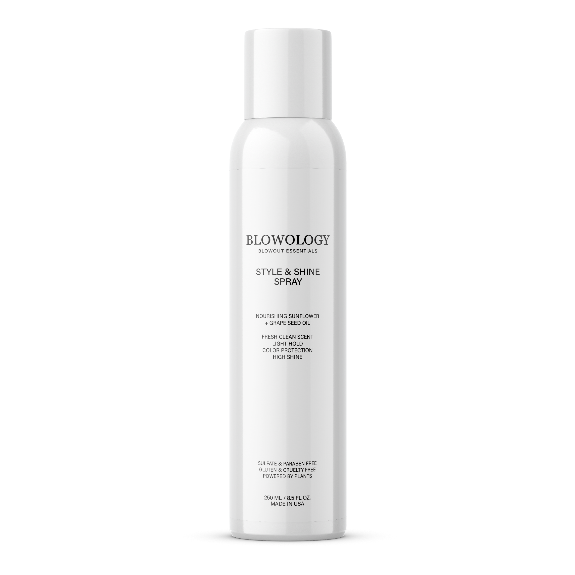 Style & Shine Spray for Glossy, Defined Hair – Smooth Look | Blowology ...